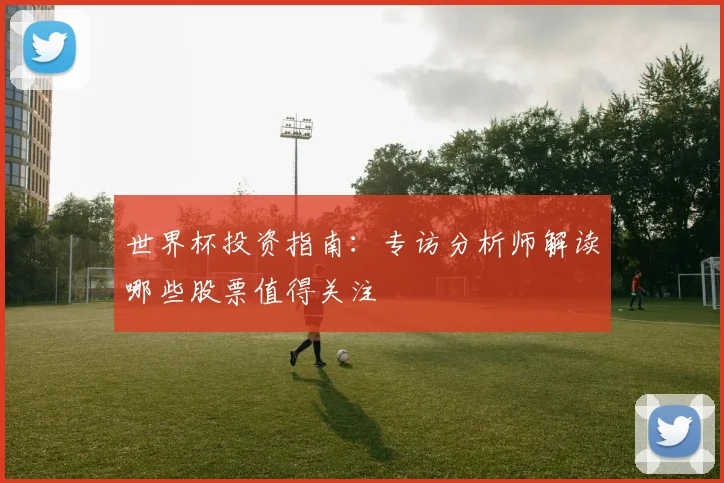 世界杯投资指南:专访分析师解读哪些股票值得关注