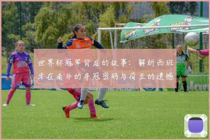 世界杯冠军背后的故事:解析西班牙在南非的夺冠密码与荷兰的遗憾。