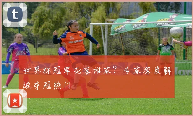 世界杯冠军花落谁家?专家深度解读夺冠热门
