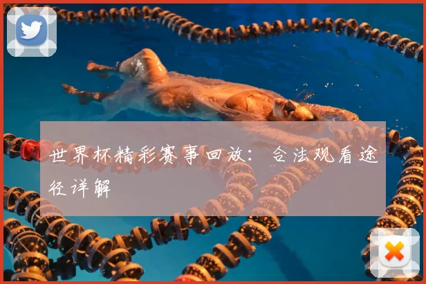 世界杯精彩赛事回放：合法观看途径详解