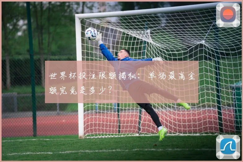 世界杯投注限额揭秘:单场最高金额究竟是多少?