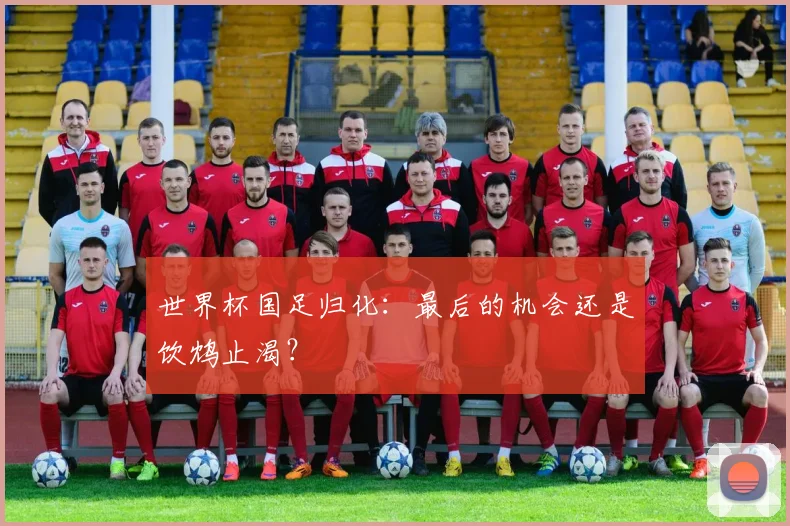 世界杯国足归化:最后的机会还是饮鸩止渴?