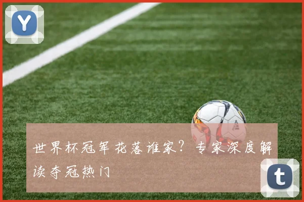 世界杯冠军花落谁家？专家深度解读夺冠热门