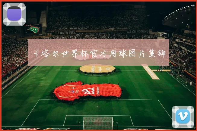 卡塔尔世界杯官方用球图片集锦