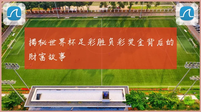 揭秘世界杯足彩胜负彩奖金背后的财富故事