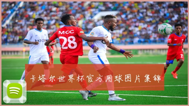 卡塔尔世界杯官方用球图片集锦
